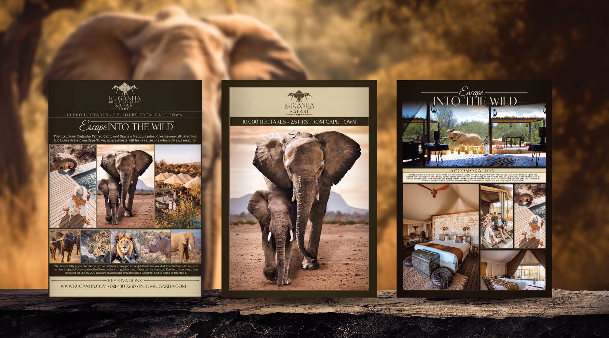 Aquila Collection print campaign